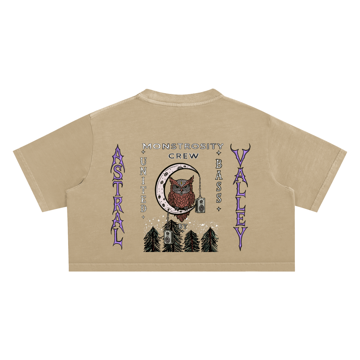 Astral Valley Snow Washed Crop Top