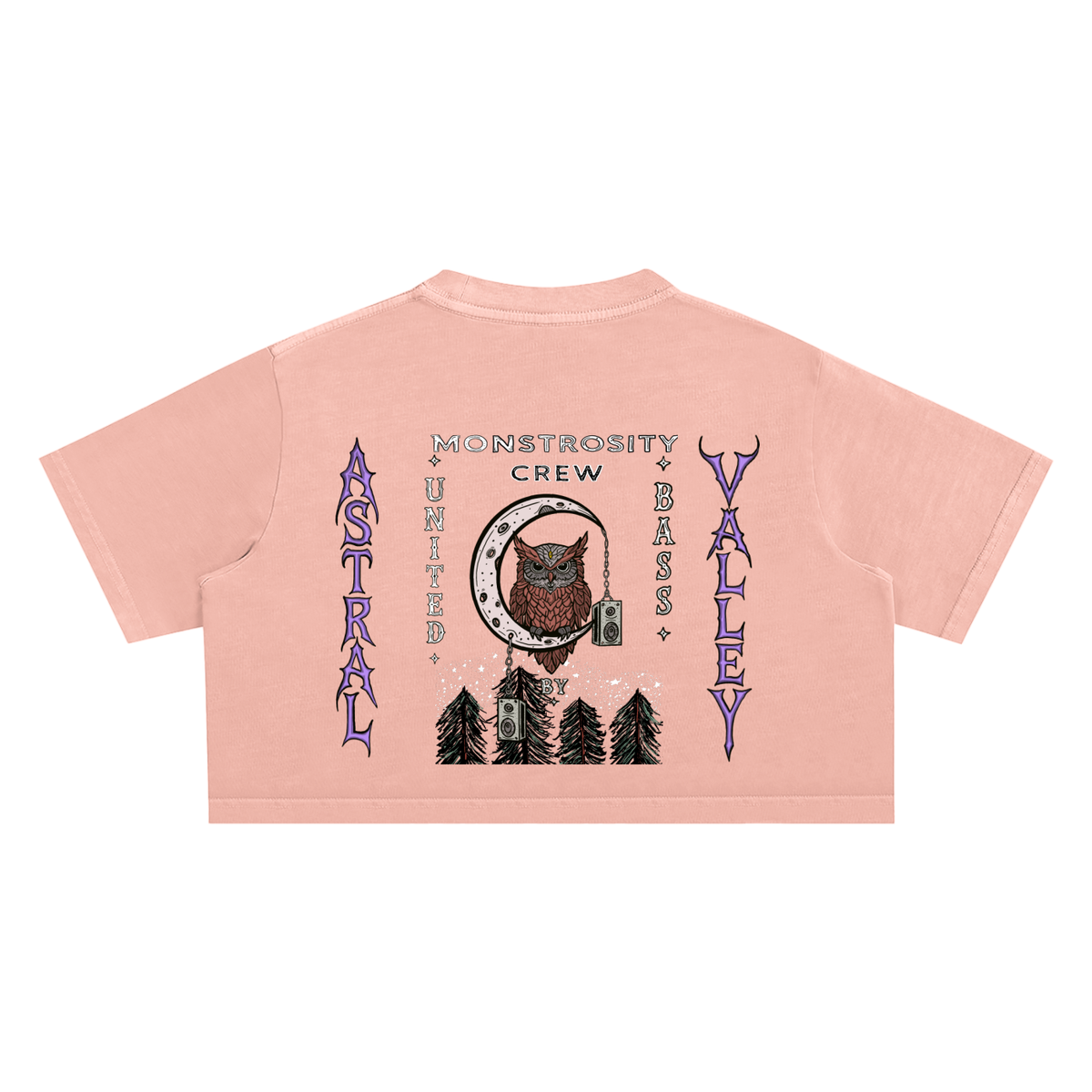 Astral Valley Snow Washed Crop Top